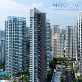 Neoliv Developer Logo
