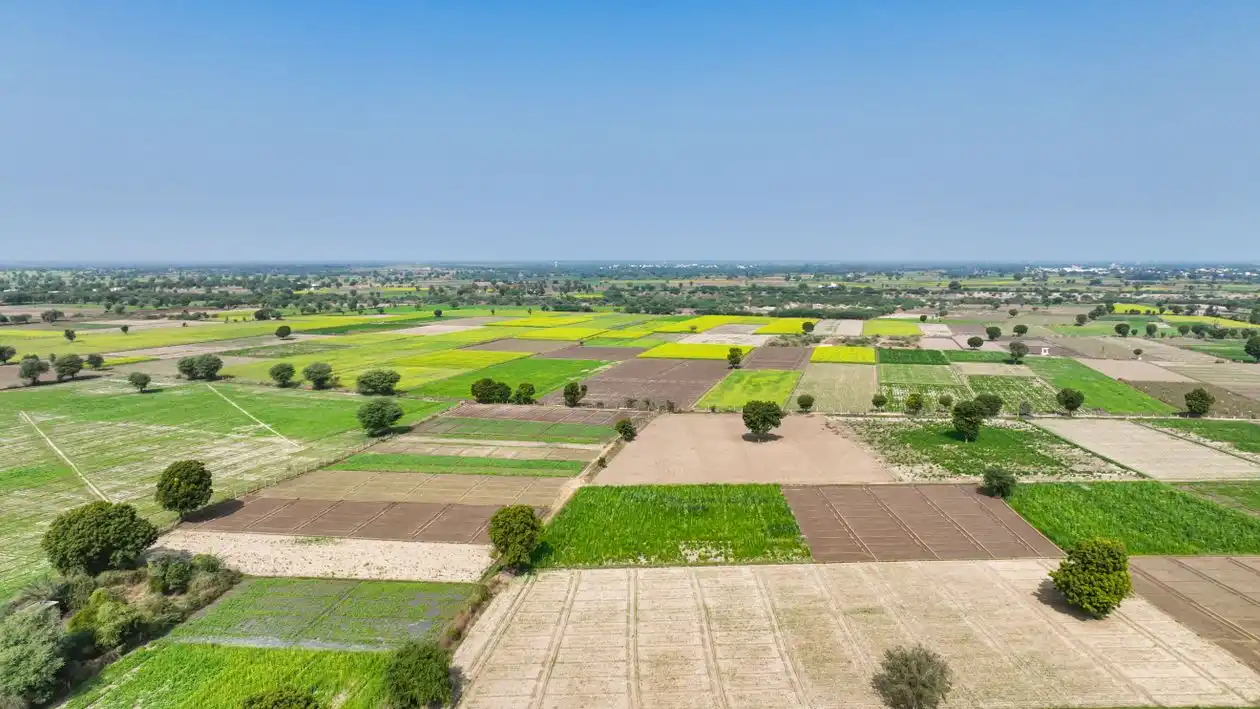Neoliv Plots Faridabad