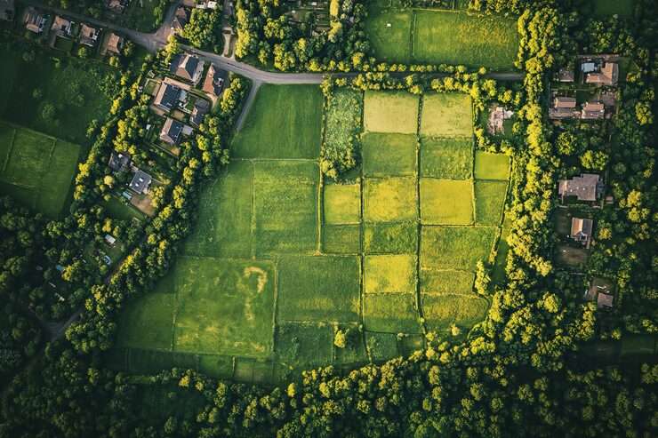 Artist impression of a planned NeoLiv community on open land